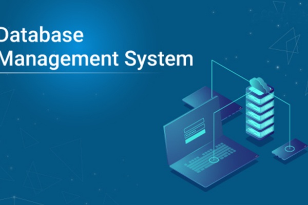 Database Management